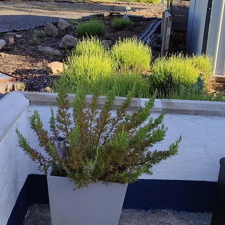 Διαμέρισμα The Bothy