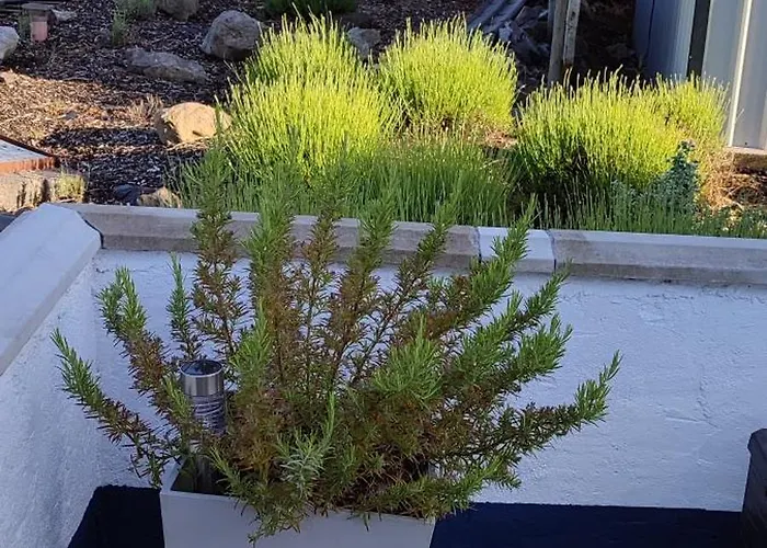 Διαμέρισμα The Bothy